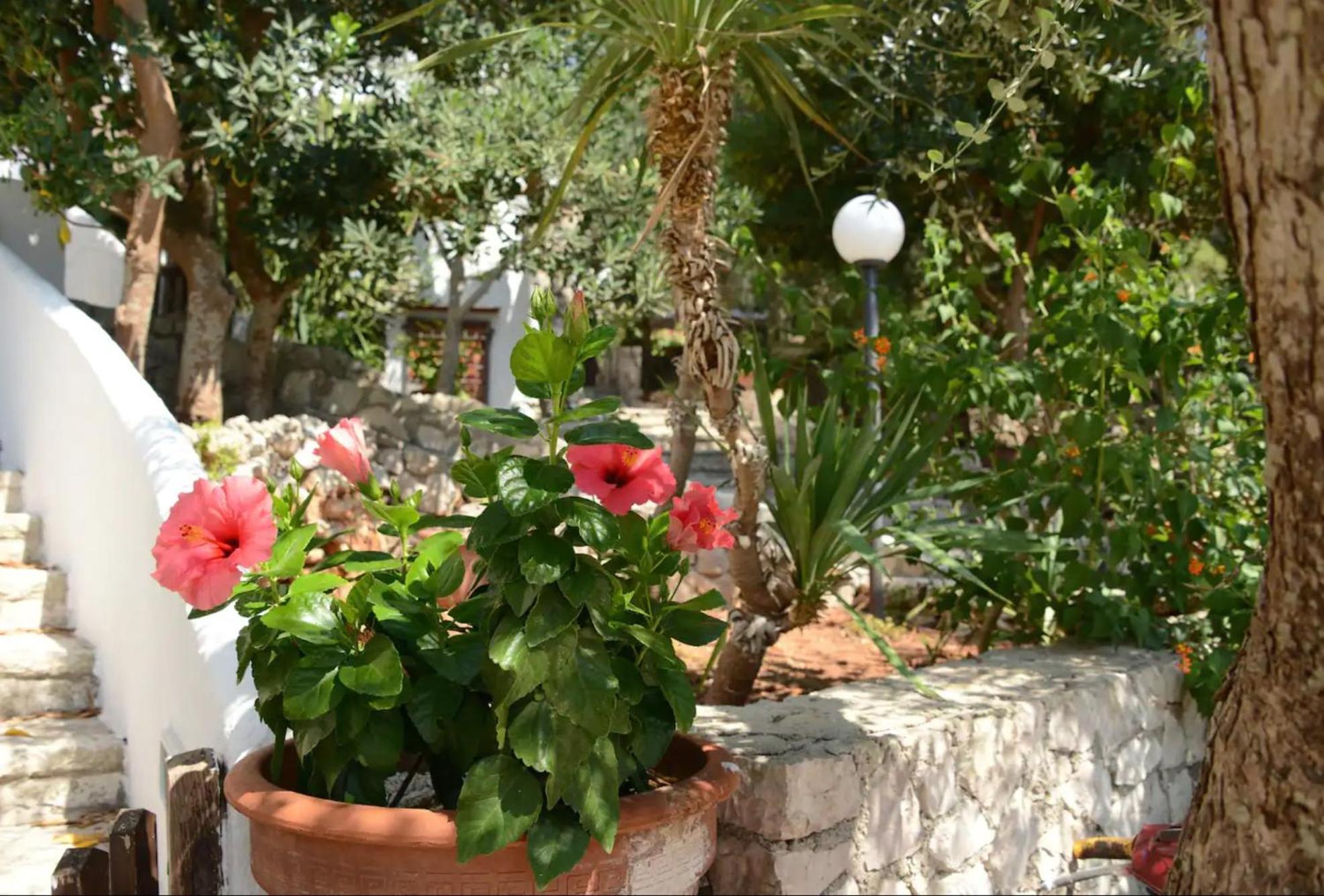 Villa L'Antico Ulivo Santa Cesarea Terme Exterior foto