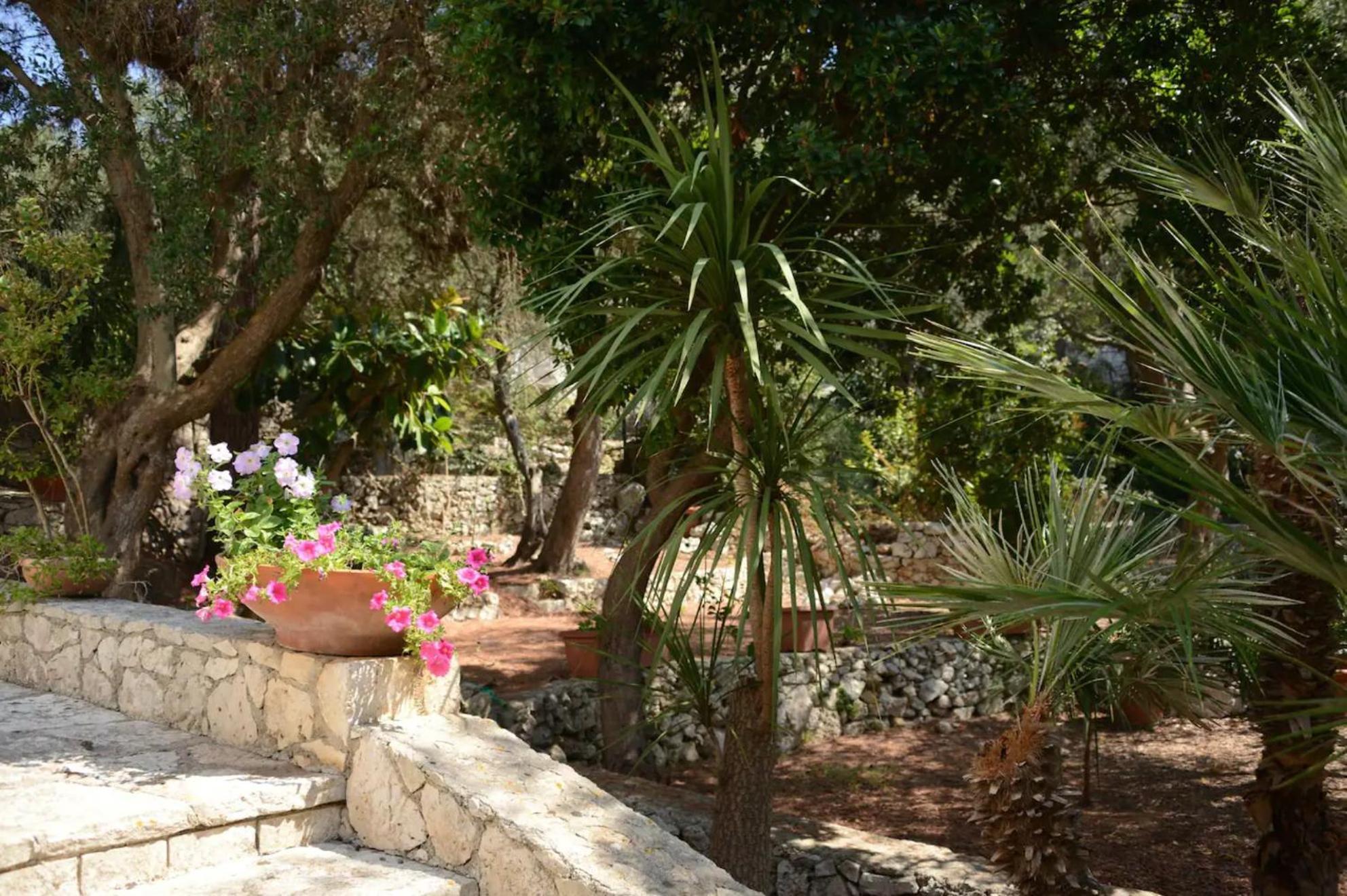 Villa L'Antico Ulivo Santa Cesarea Terme Exterior foto